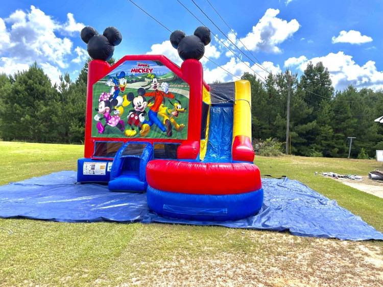 Mickey Mouse and Friends Clubhouse Playground Combo